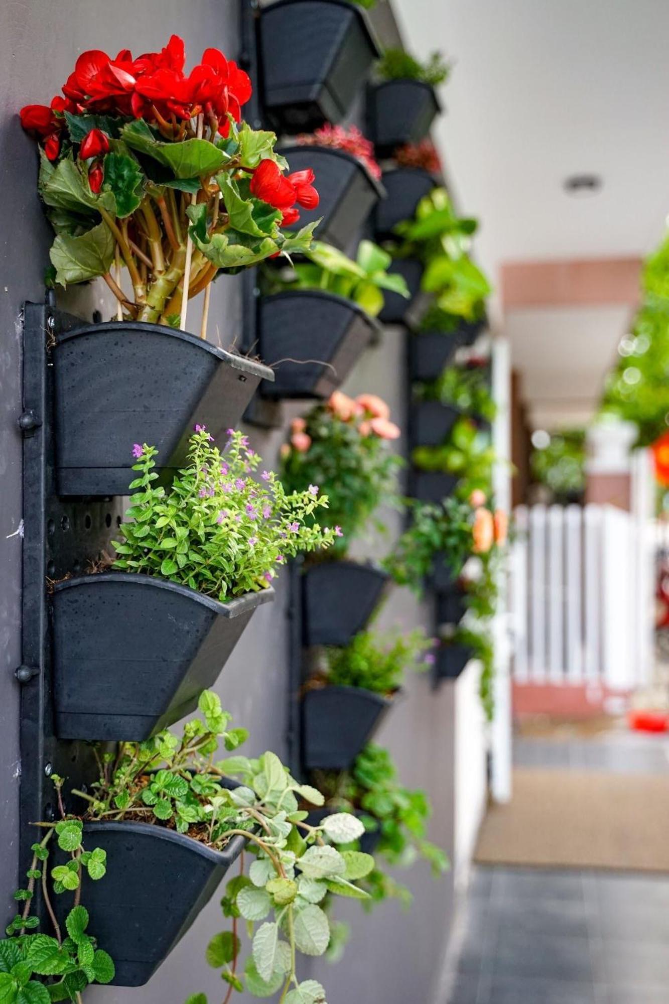 Local White House - Ecofriendly Homestay Da Nang Exterior photo